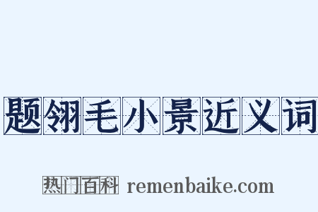 题翎毛小景近义词是什么意思的图片